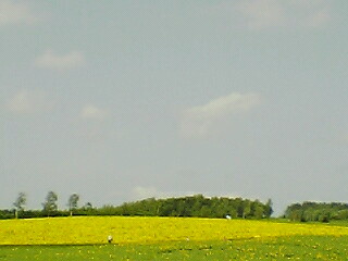 060729_1007〜01001.jpg